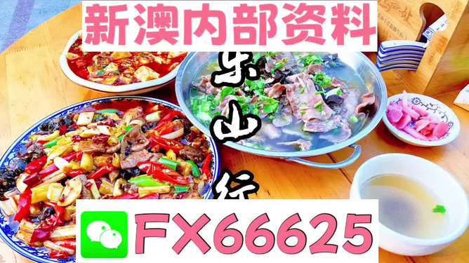 2024新澳兔费资料琴棋_准确资料动态解析_vip47.3.150.92