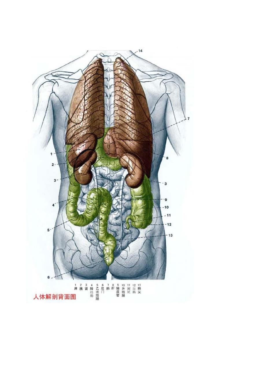 49图库图片 资料_最新正品解剖落实_尊贵版83.66.175.141