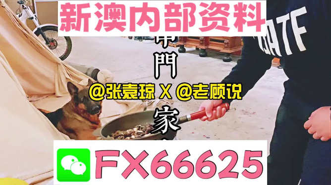 7777888888精准管家婆_核心解析_决策资料_VS193.61.138.74