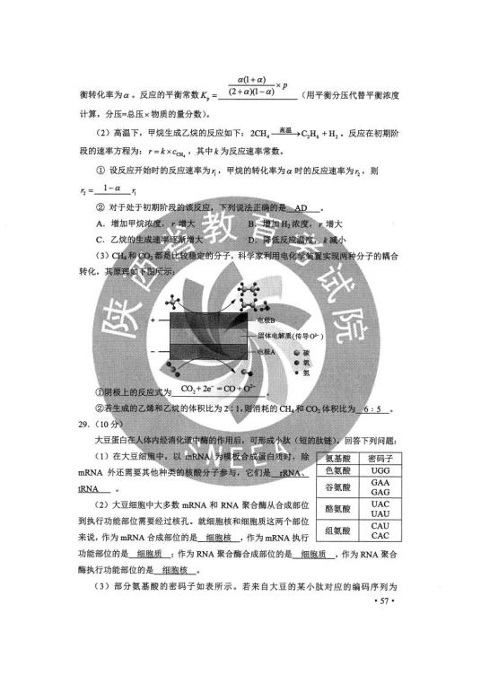 2024年澳彩综合资料大全_解析实施_决策资料_VS206.137.112.71