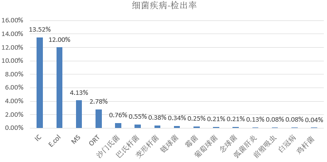 澳门特马今天开奖结果,市场趋势方案实施_Q51.159