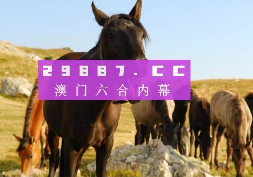 2023澳门管家婆资料正版大全｜全新核心解答与落实