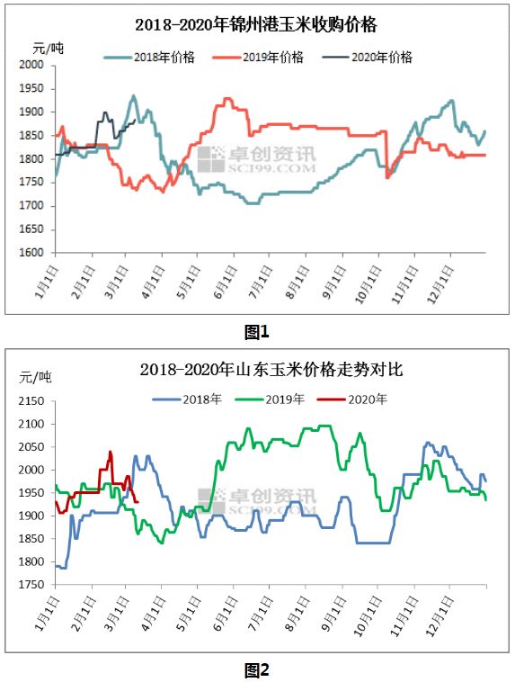 东北玉米最新价格走势分析概览